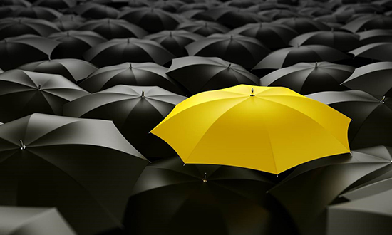 branding yellow umbrella